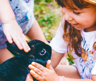 Salidas escolares La Granja