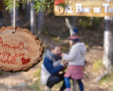 El bosque Mágico del Tió del Jou Nature