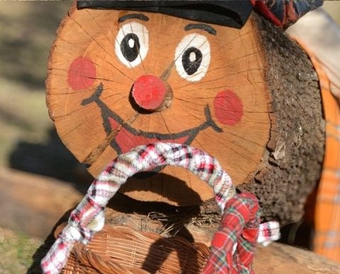 El bosque Mágico del Tió del Jou Nature