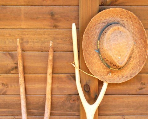 Salidas escolares La Granja