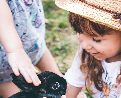 Vacaciones Singles con hijos Agosto 2026