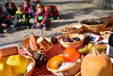 ¿Por qué el otoño es la época perfecta para realizar salidas escolares?