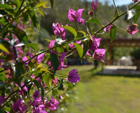 Mas Salvador Rural Experience
