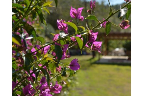 Mas Salvador Rural Experience