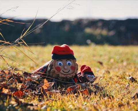 El bosque Mágico del Tió del Jou Nature