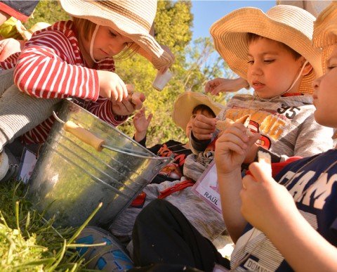 Salidas escolares La Granja