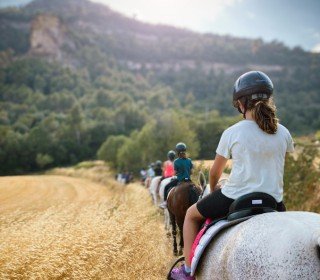 Reunión Informativa Colonias de Verano