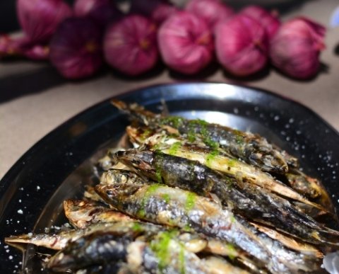 Vacaciones Singles con hijos Agosto 2026